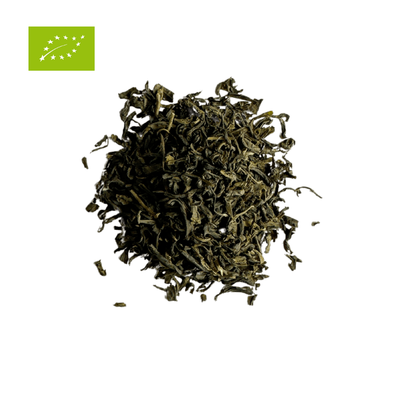 Chine Jasmin - Thé vert BIO